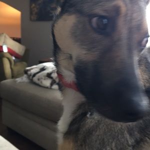 Meet your Posher, Claire